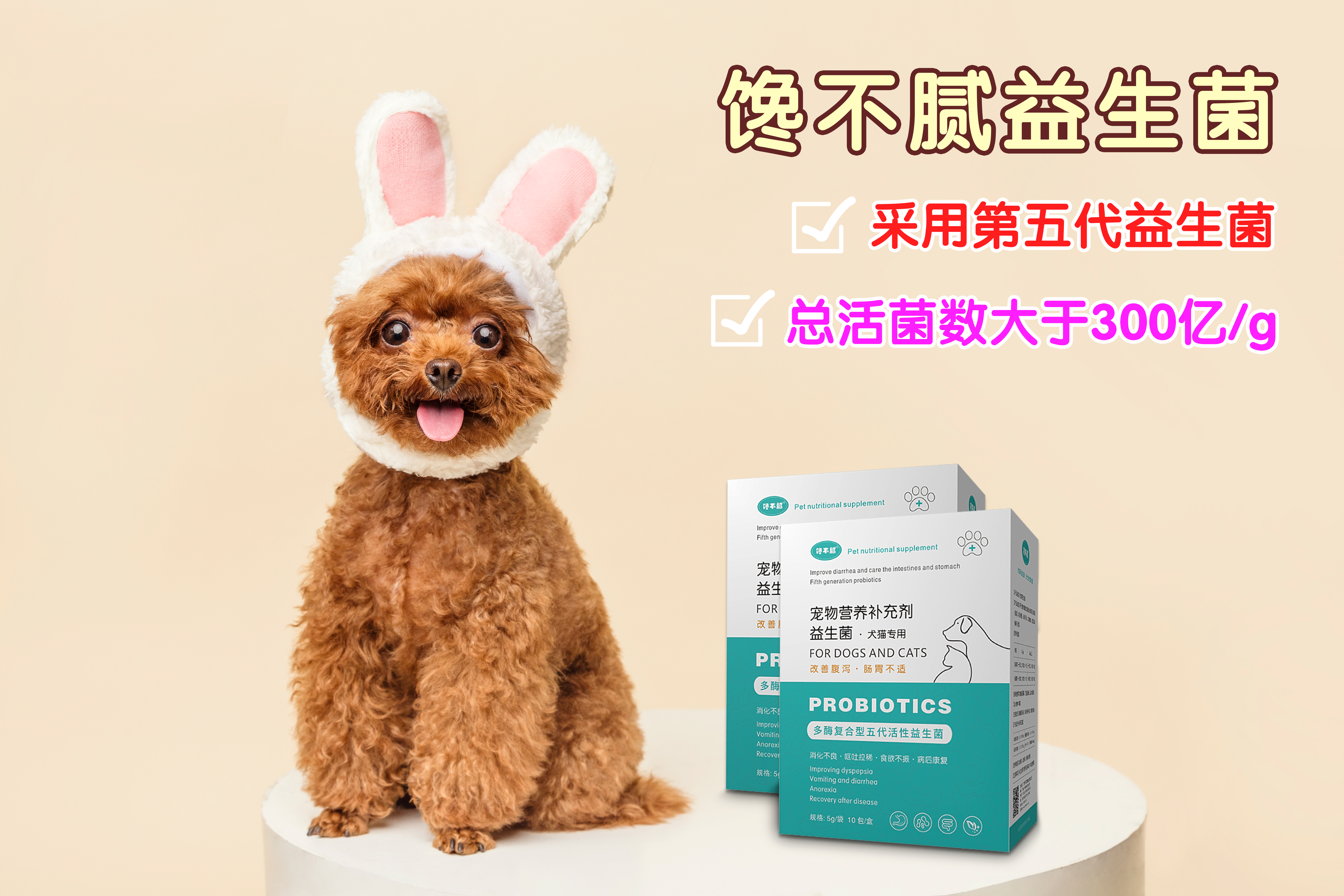 泰迪犬怎么养呢知乎,泰迪犬要怎么养才好看