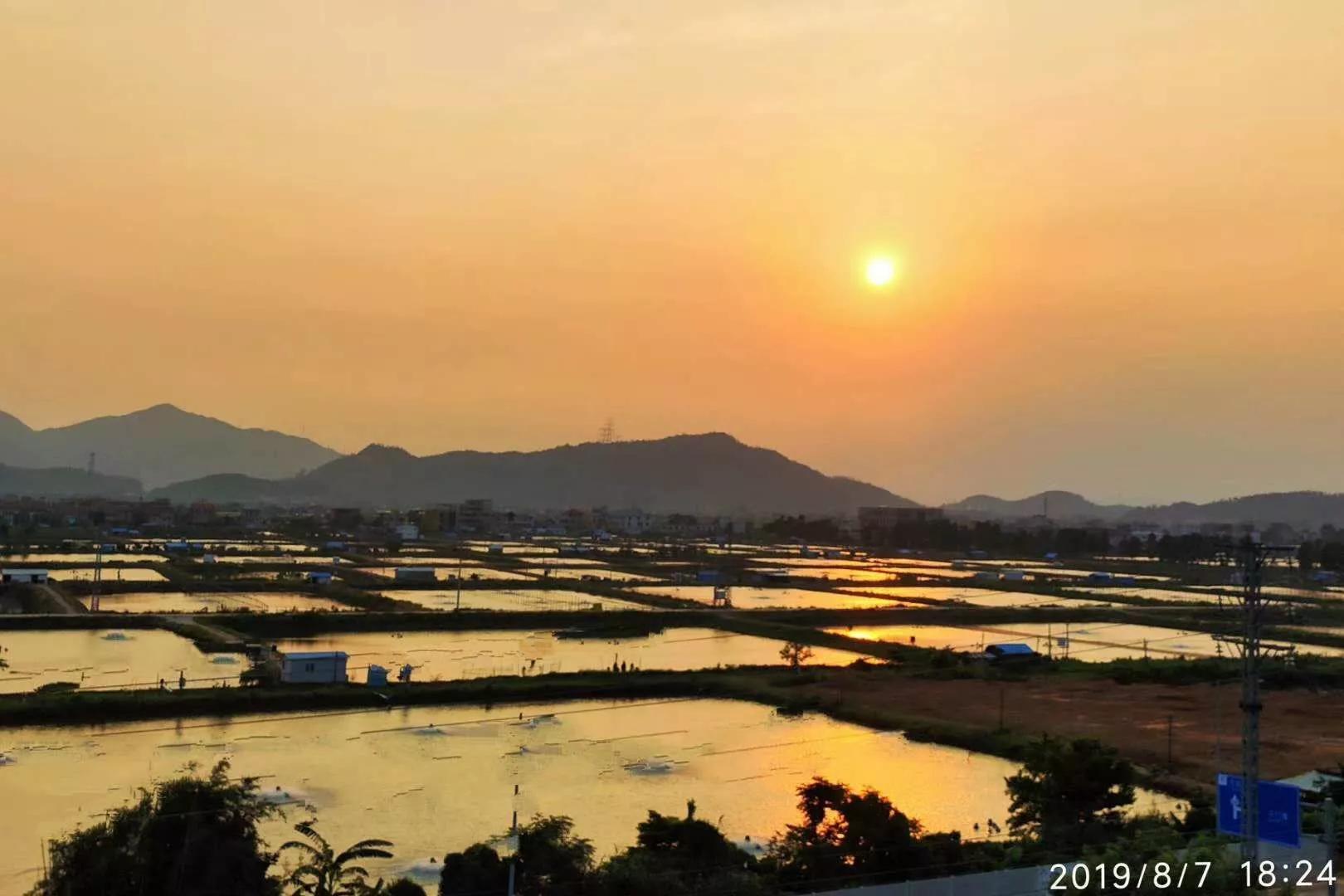 珠海斗门上横古村,珠海斗门古村古镇