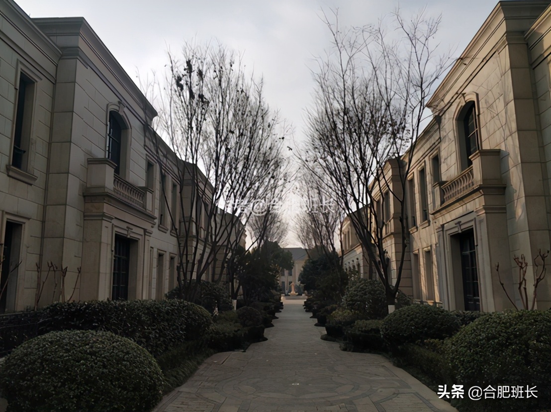 可以传世的房子格局,合肥汤臣一品海景房