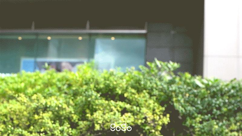 奈雪玉油柑评测,奈雪玉油柑换包装