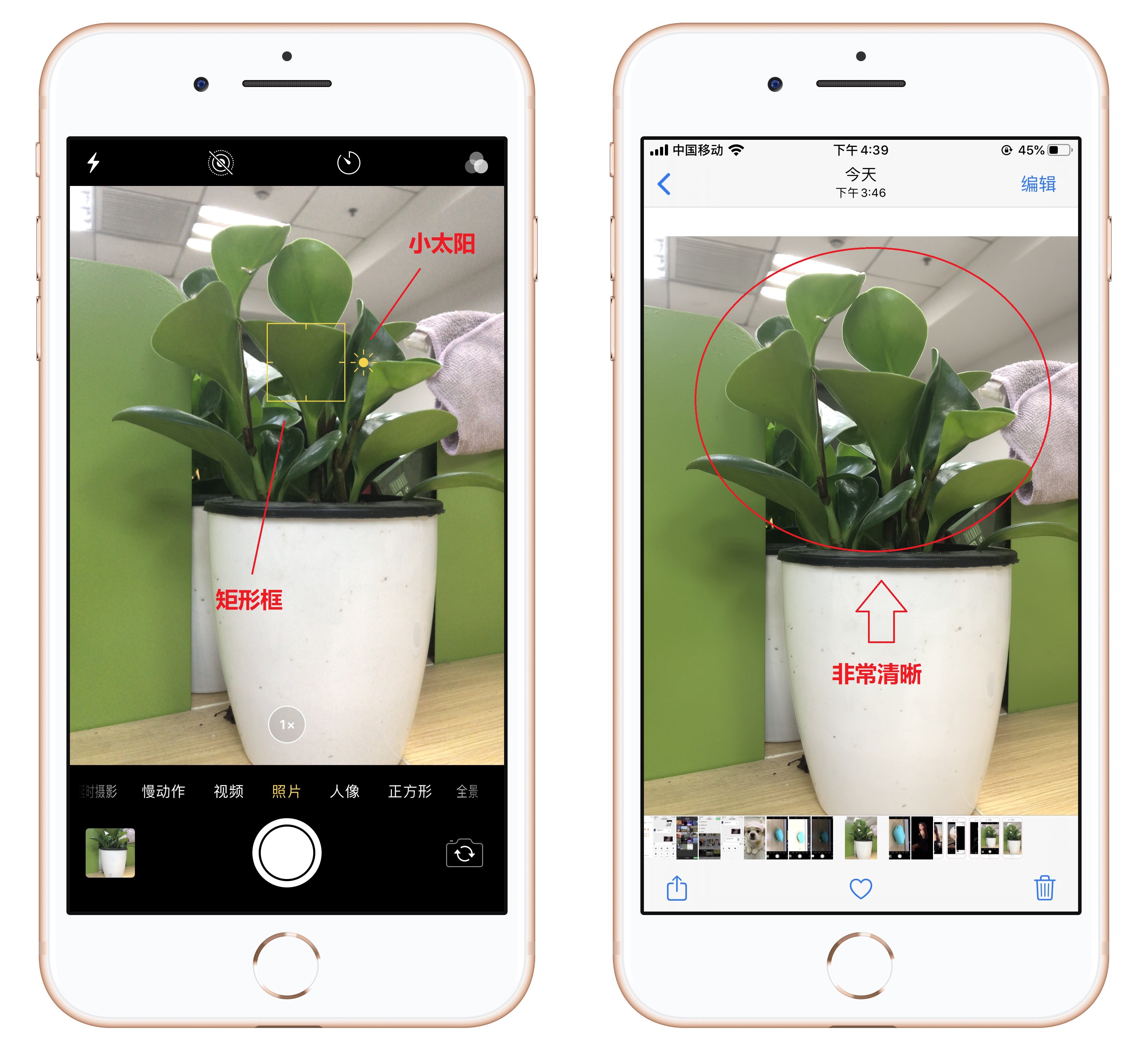 苹果手机拍照怎么不全屏,苹果手机拍照不虚化的方法