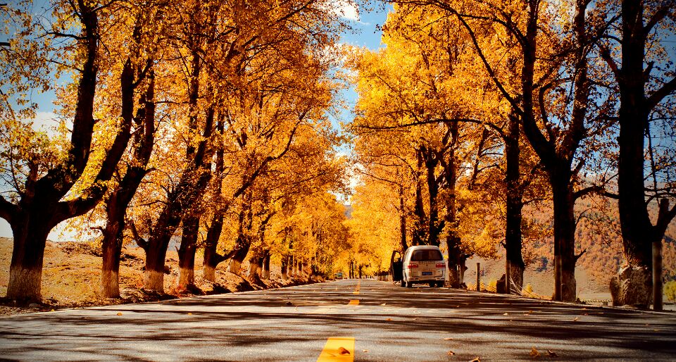 中国最美的51个地方，你去过几个？