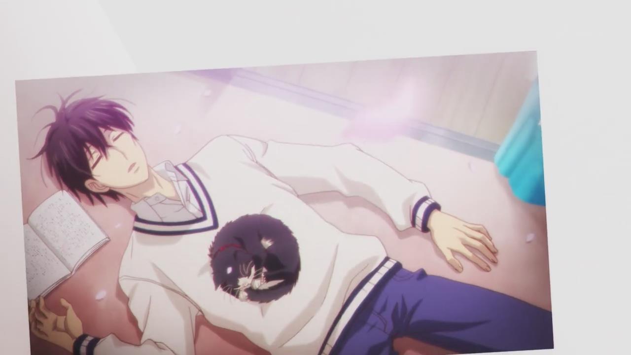 治愈系动漫新番猫猫,1月新番动漫因狗而幸福