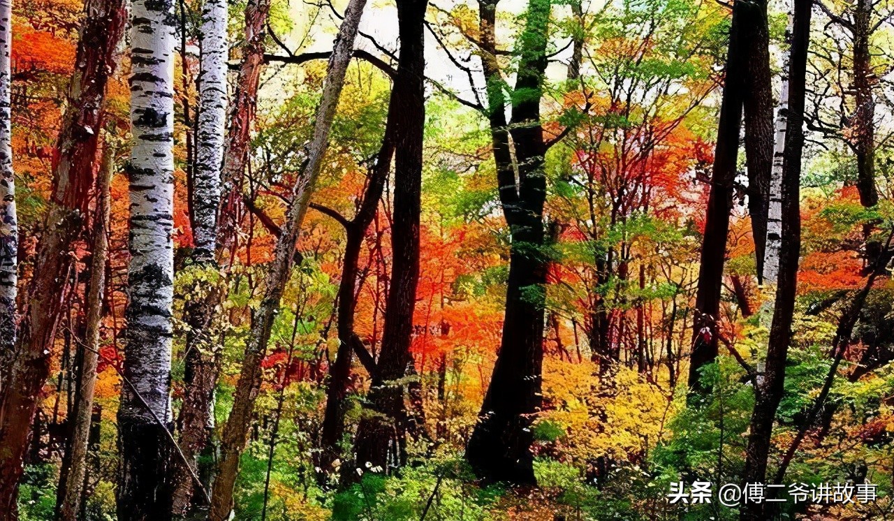 满族习俗有哪些,满族在黑龙江的民俗