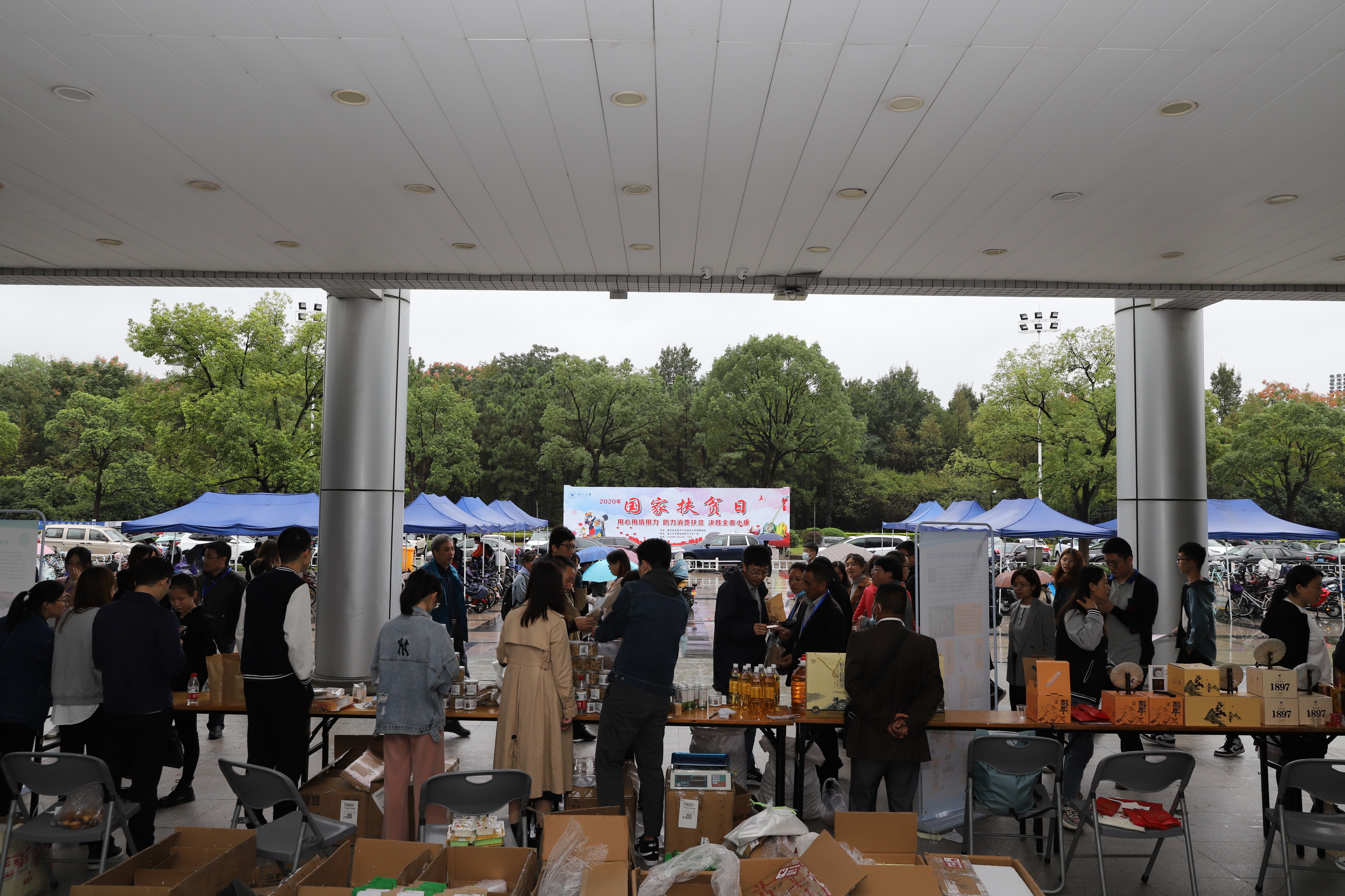 用心用情用力浙江代表热议,用心用力用情