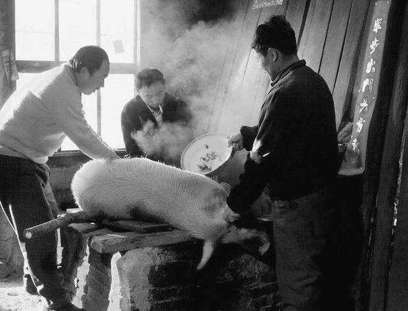 采访18岁的人,8090后的真实童年