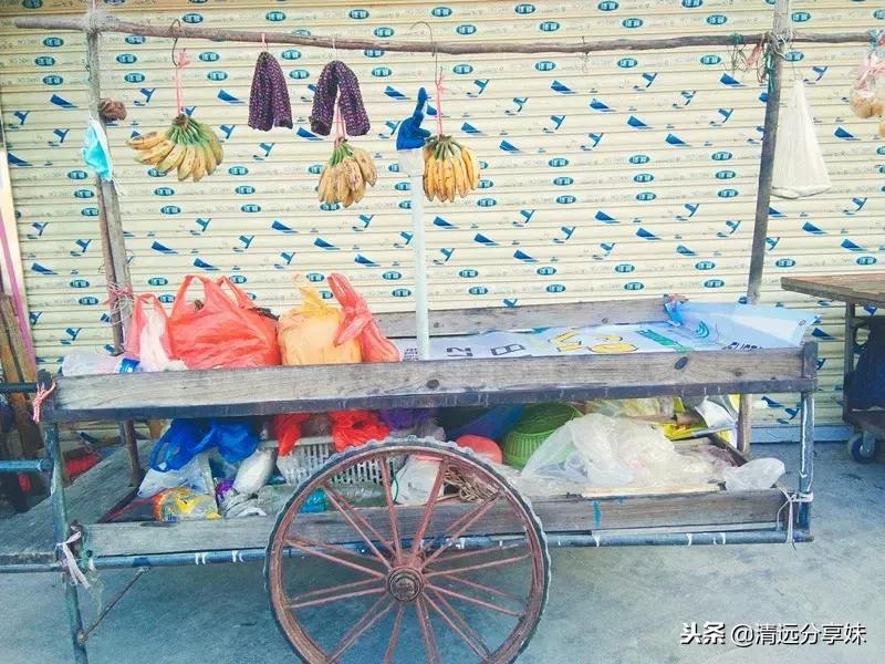 文艺和文艺的碰撞,清远白庙渔村风情