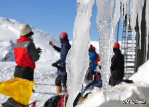 新西兰特产大全及图片,新西兰十大特产水果