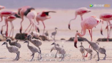 被吹爆的神片,被吹上天的神作