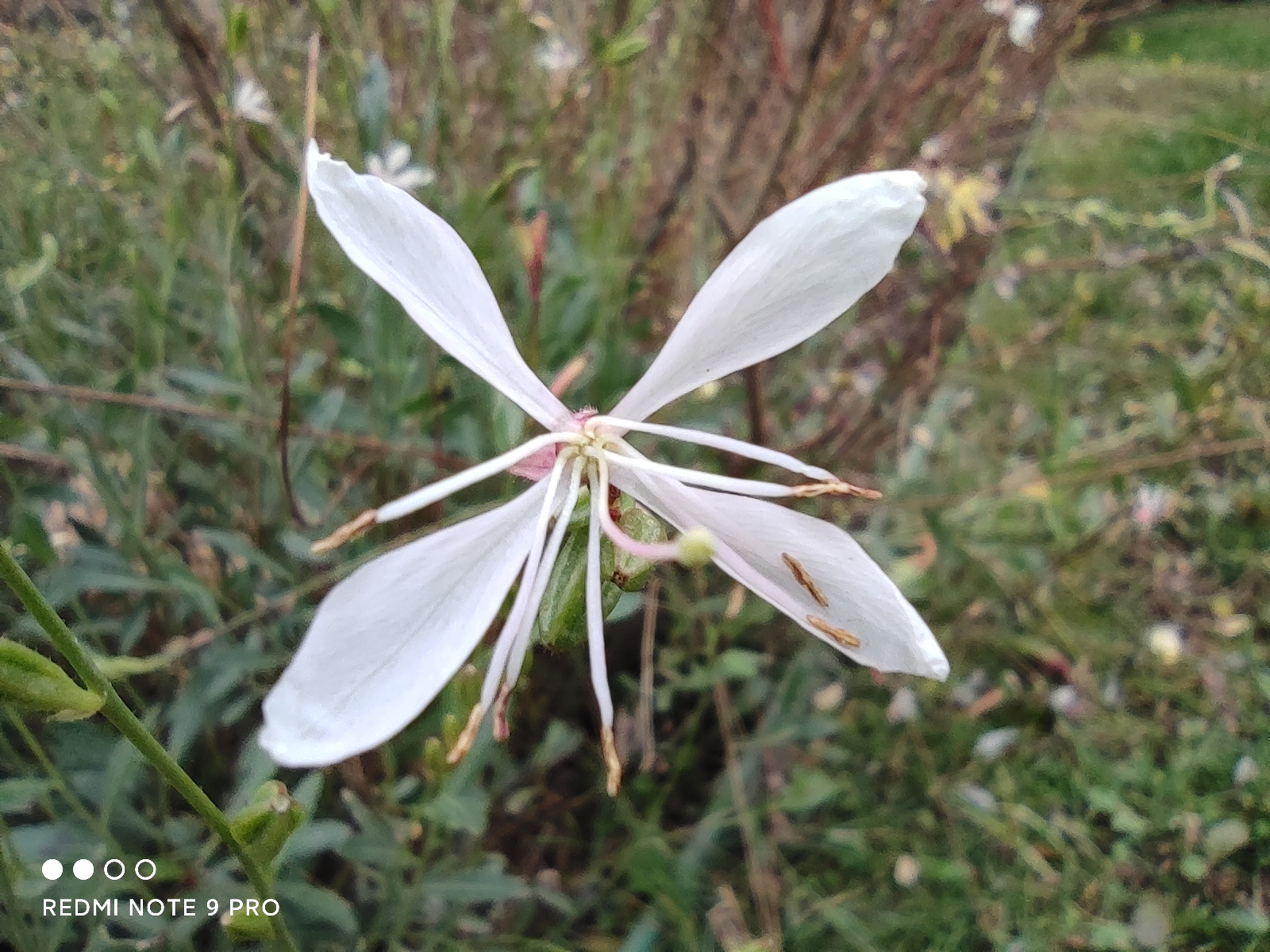 redminote115g璇勬祴瑙嗛,redminote11pro璇勬祴