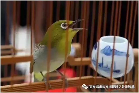 文爱绣眼武爱眉儒雅之处论收藏