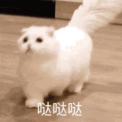 逆水寒震惊的事情,逆水寒遇到策划的问题