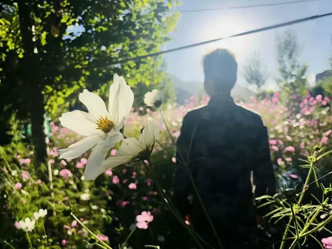 我的*藏西**战友，再敬最后一个军礼！