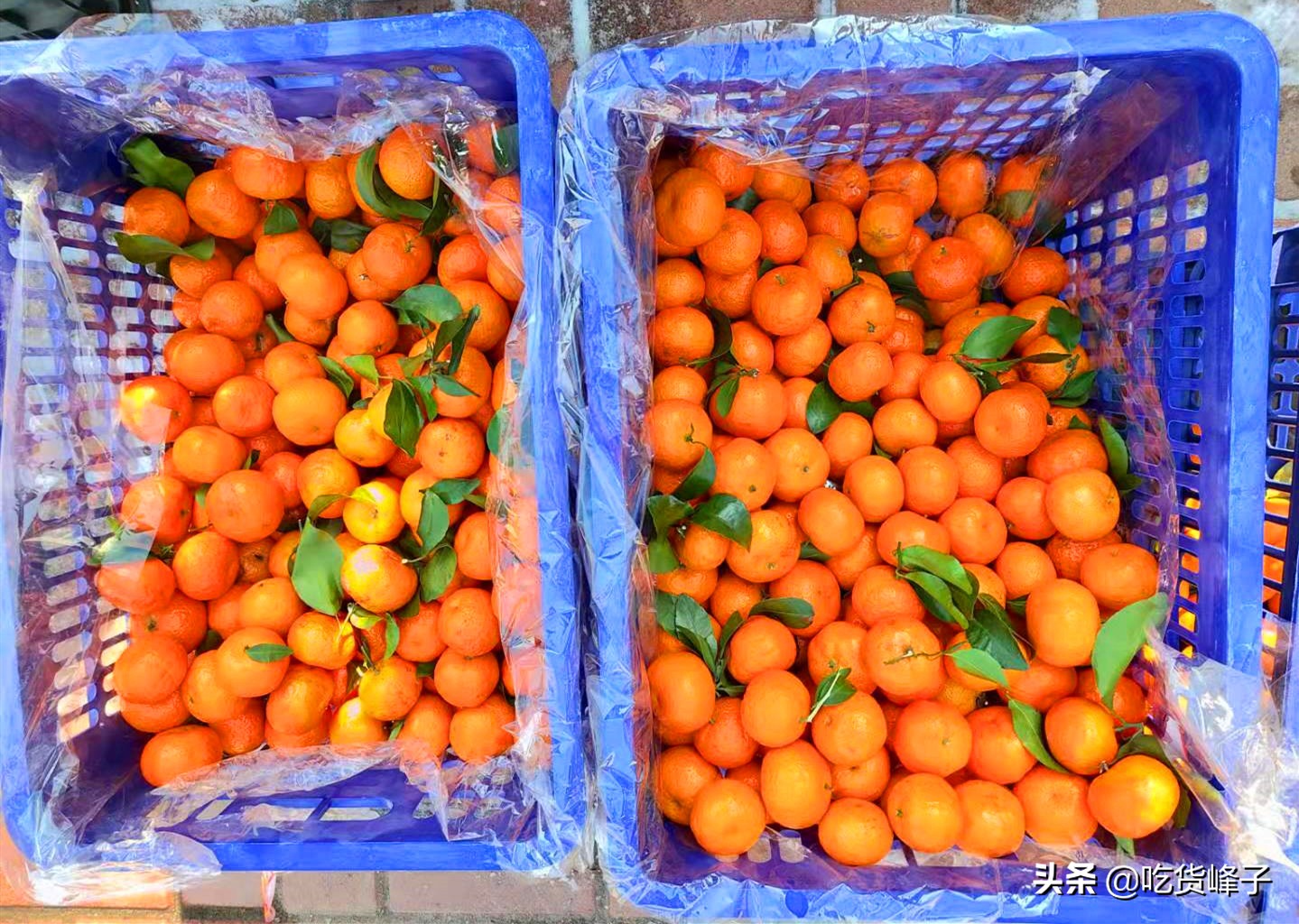 正月串门一般拿几样东西,正月串门买什么好