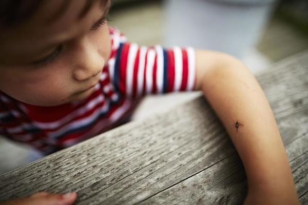 奶奶给孙子擦药,奶奶给孙子涂药