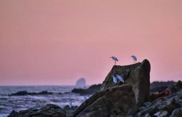 国内值得一去的海岛,国内最值得推荐的海岛