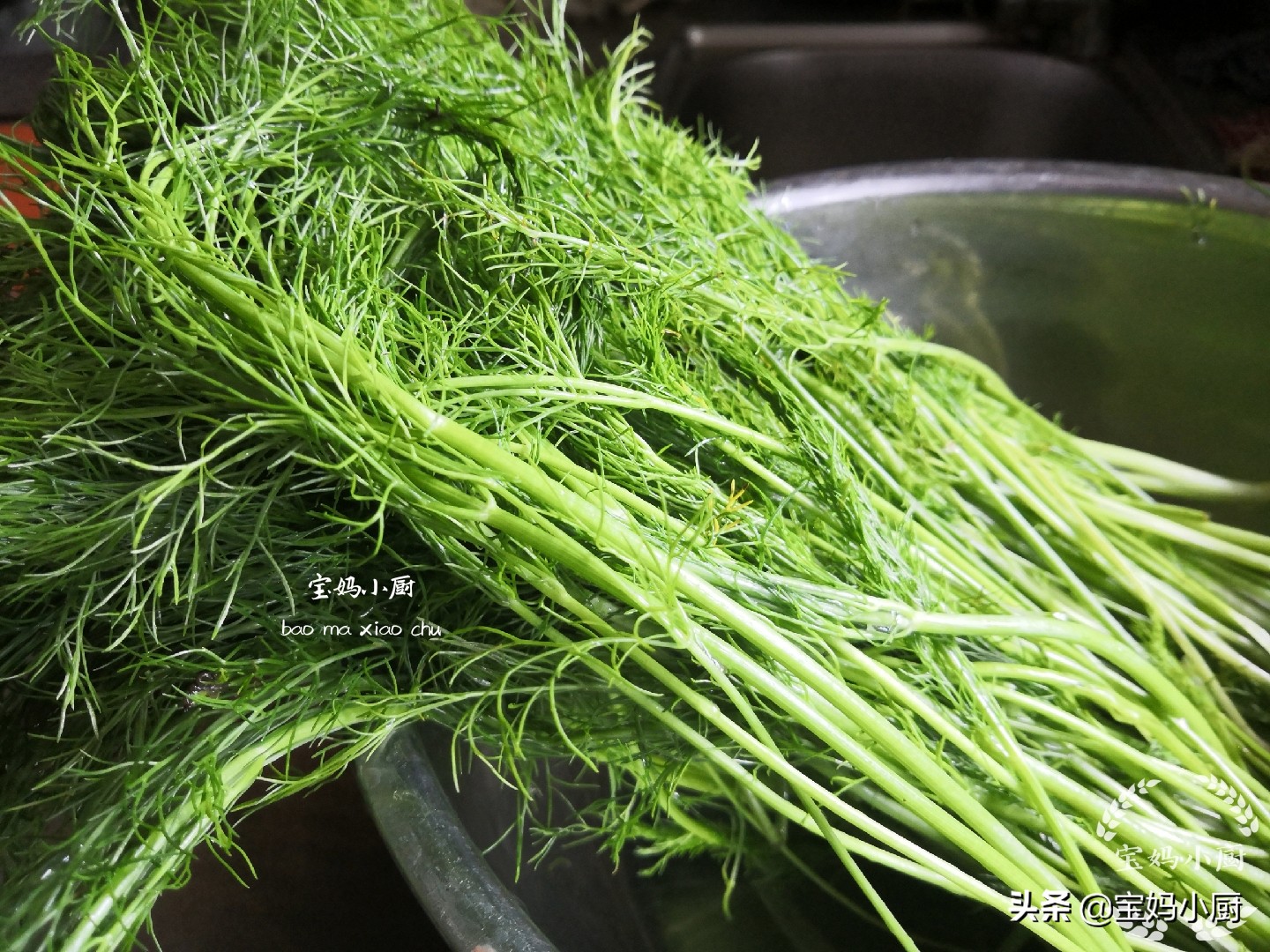 秋天吃什么馅的饺子最有营养,秋季适合吃什么素馅饺子