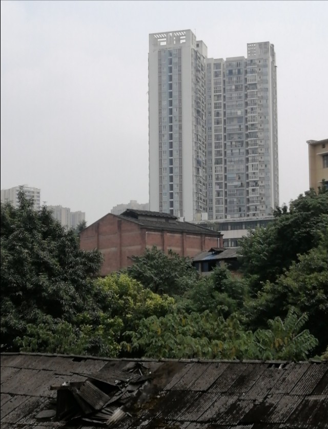 扫街日记100篇,扫街日记视频