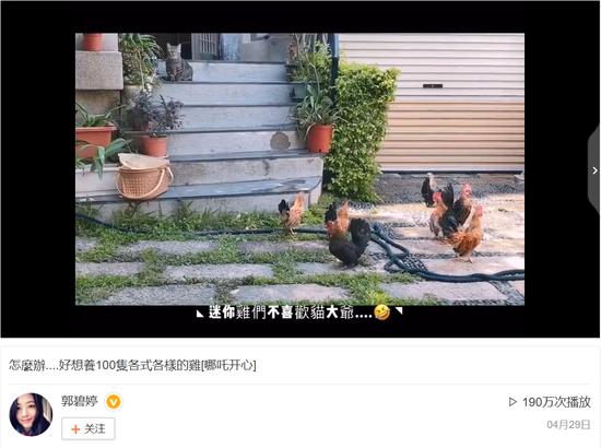 郭碧婷再被疑怀孕,郭碧婷孕期微博