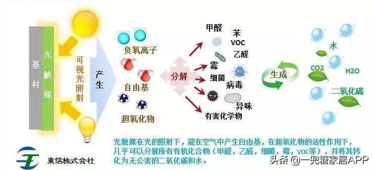闷放法除甲醛真的有效吗,你清醒点全文免费阅读