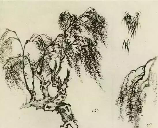 缠枝、挺杆、屈节、钮裂、一棵树如何画？看了这篇你绝对能学会