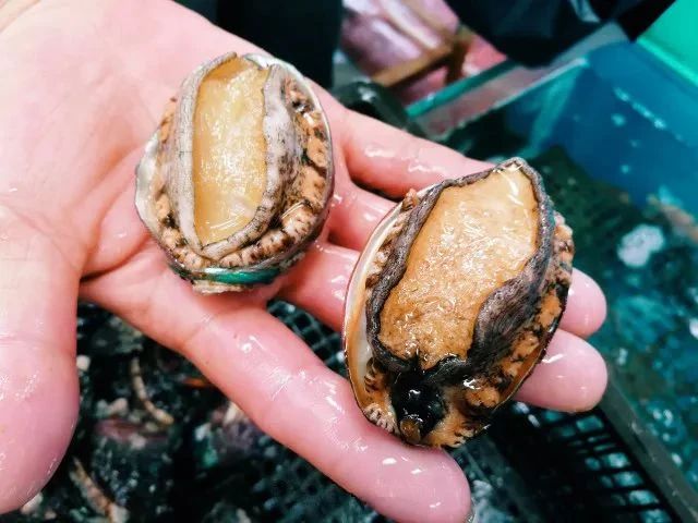 郑州人买衣服去哪儿,郑州人买电器去哪里