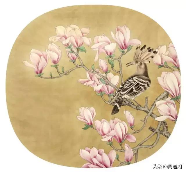 宋人工笔花鸟临摹步骤,工笔花鸟玉兰的画法