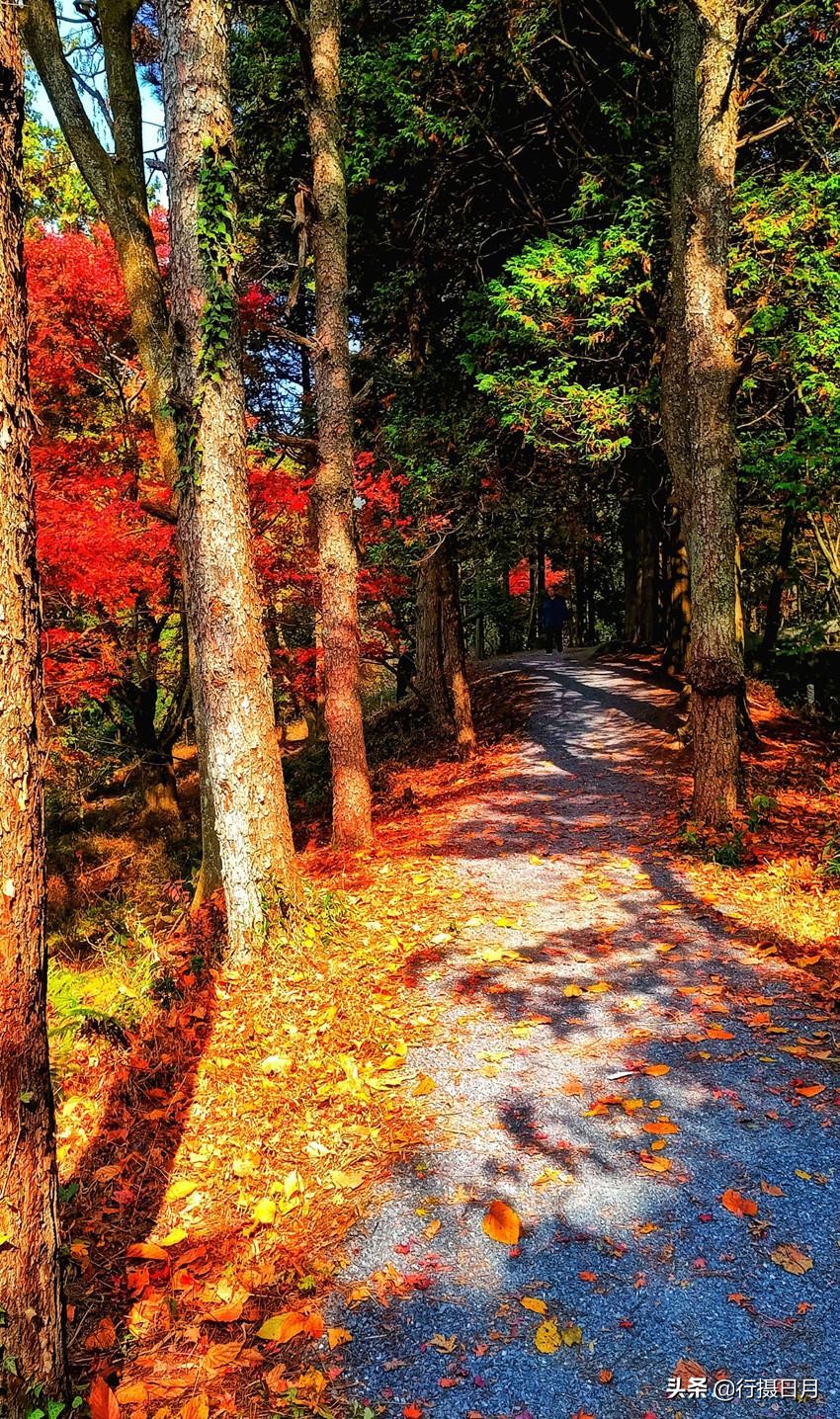 人间芳菲十月,人间四月芳菲尽硬笔楷书