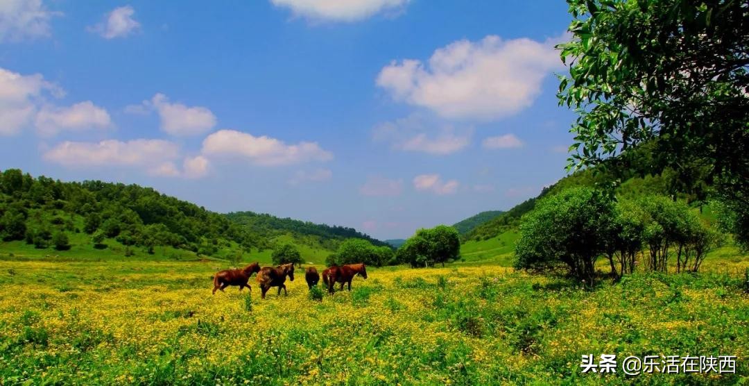 宝鸡周边夏日避暑绝佳去处,避暑胜地的好地方宝鸡