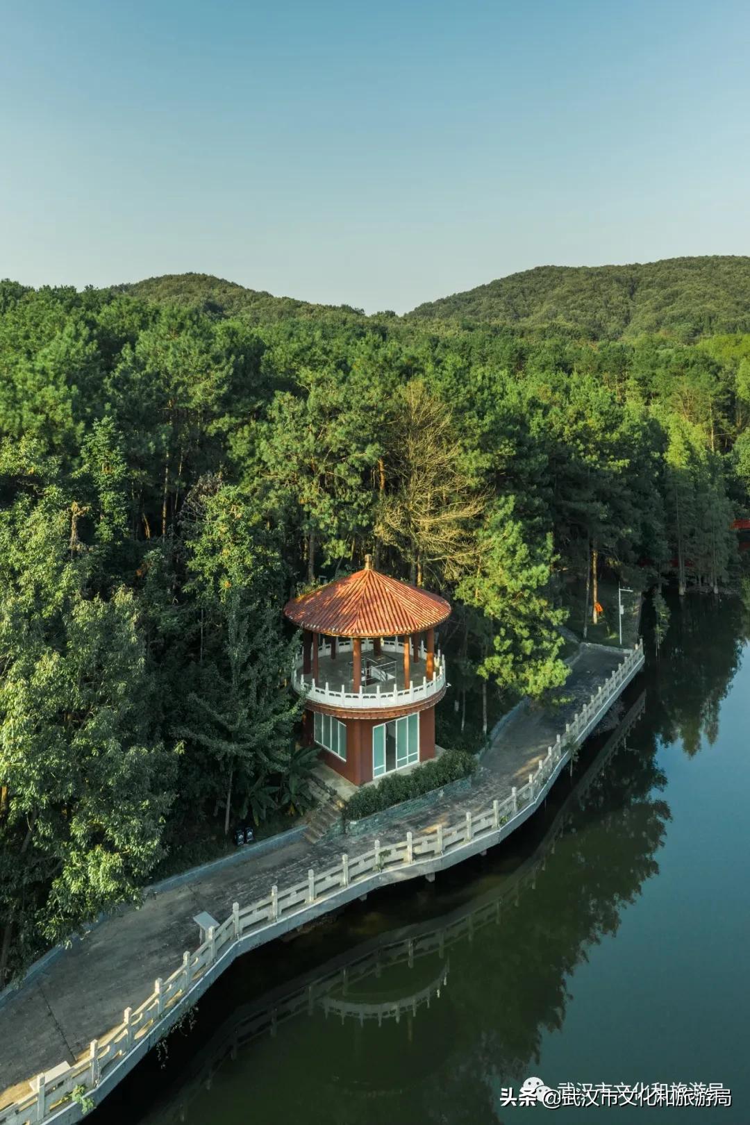 蔡甸区游玩,蔡甸在哪里