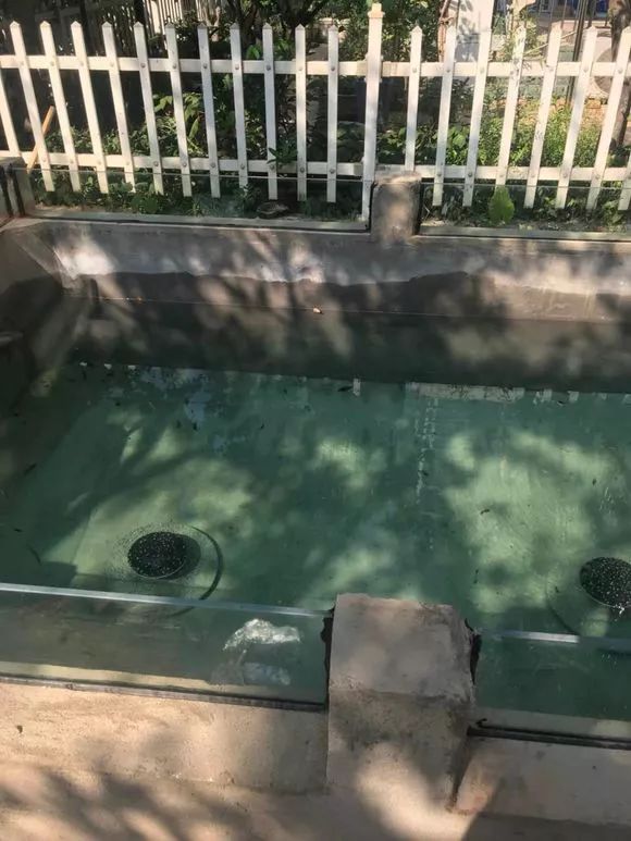 地面上鱼池自动排污过滤施工方法,鱼池过滤系统怎么实现自动排污的