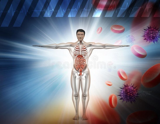 脾虚大便溏稀是怎么回事,脾虚为啥会大便稀溏