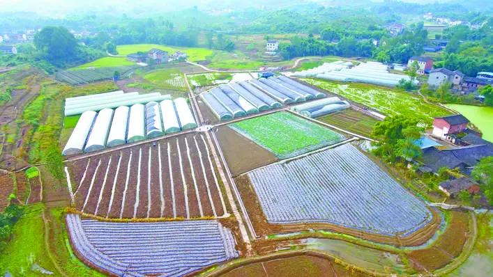 拓宽农产品销售渠道的重要性,拓宽农产品销售渠道建立订单