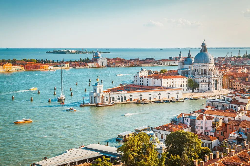 泰国大象因疫情失业徒步返乡视频,疫情过后的大象