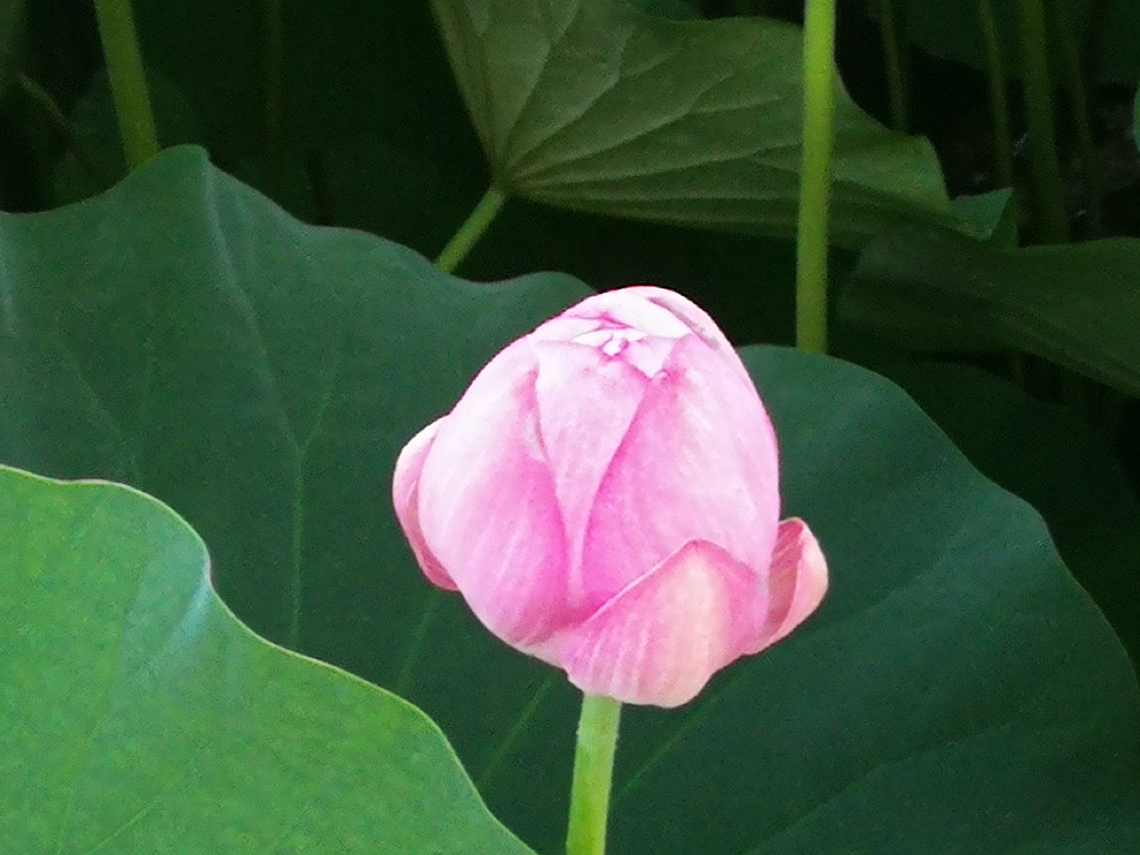 宅理财银行信用贷款规模,宅理财怎么理解