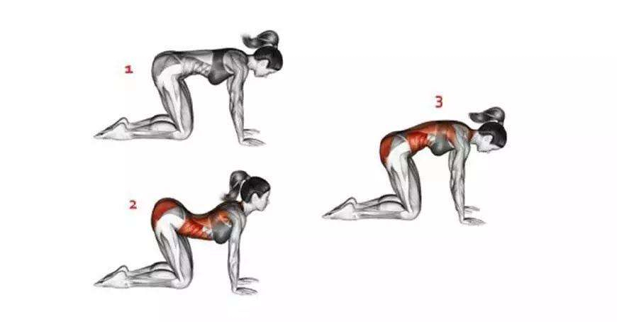 孕期如何运动有助于产后恢复身材,如何正确科学地进行孕期锻炼