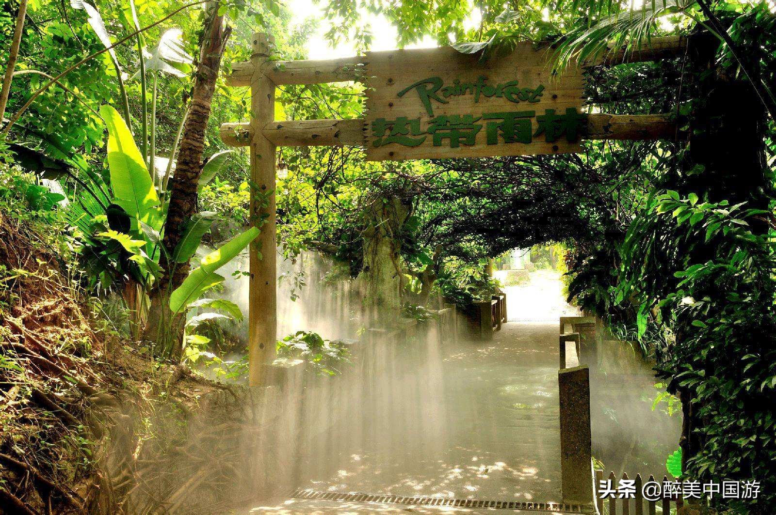 深圳青青世旅游攻略,深圳青青世界详细地址