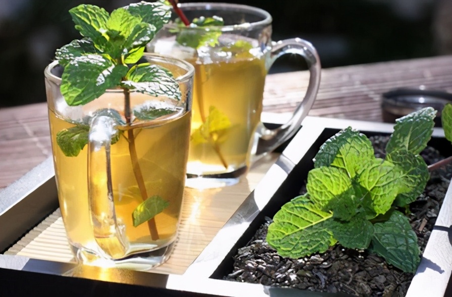 夏天清热降火养生茶自己做,夏天喝什么茶降火解暑