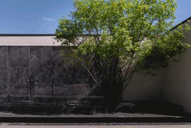 关于缘分这是我见过最感人的回答,关于缘分这是我见过最感动的回答