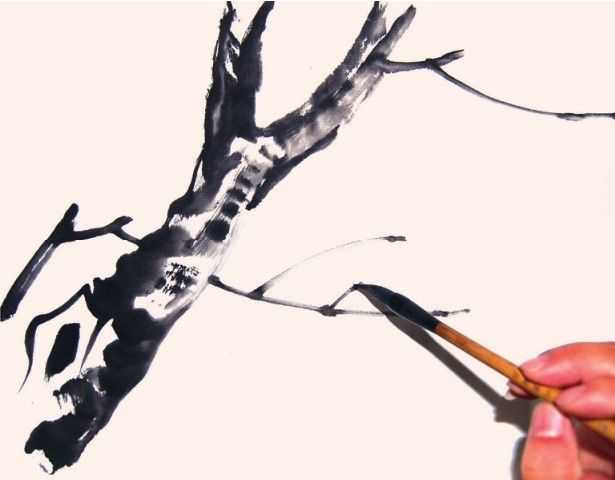 国画教程零基础入门树的画法,国画花卉线稿教程大全