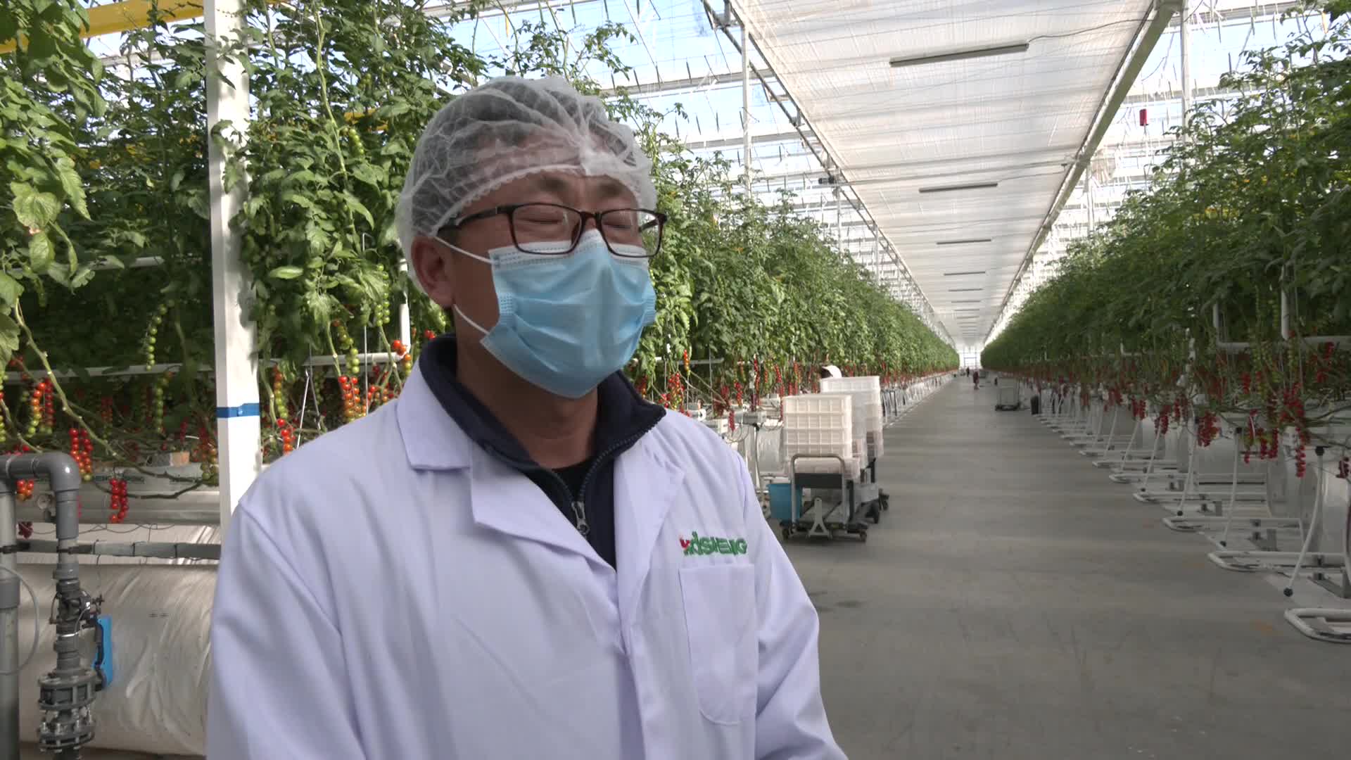 【加快项目建设推进高质量发展】戈壁滩崛起“农业工厂”——古浪越海农业书写古浪现代农业新篇章