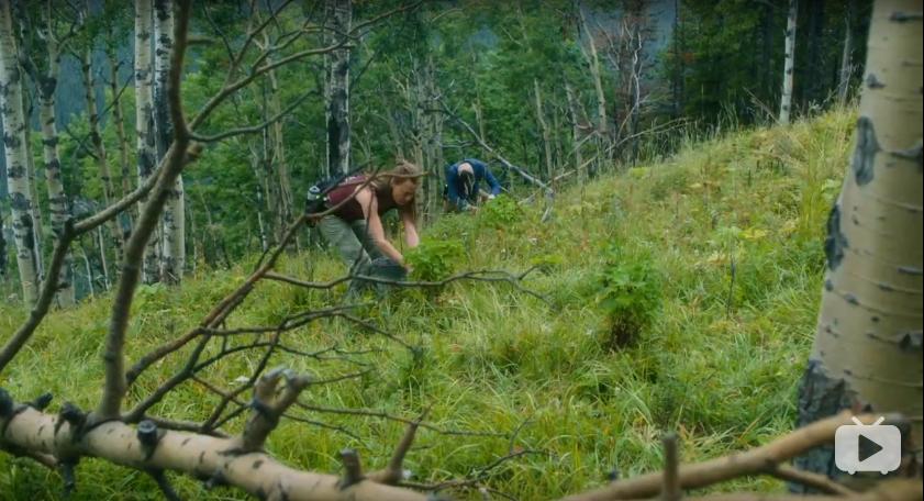 苍天啊大地啊是刘欢的哪首歌曲,苍天啊大地啊是哪个小品