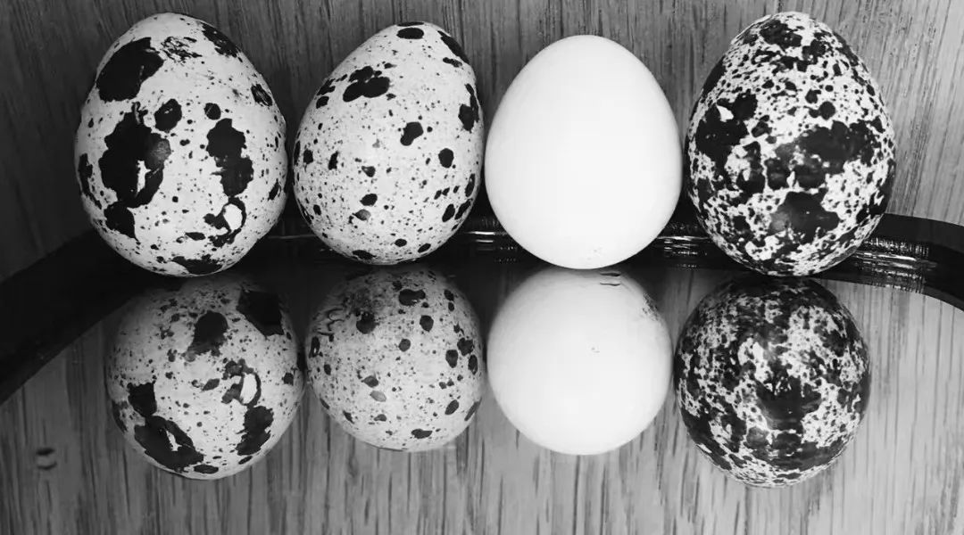 口腔牙医感言,牙医从业感悟