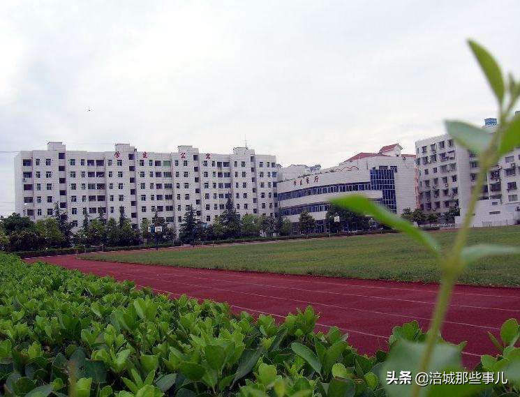 绵阳富乐集团,游仙区富乐中学教育集团