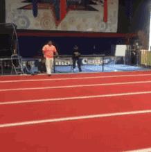 搞笑动图gif熊猫,搞笑动图gif图片哪里下载