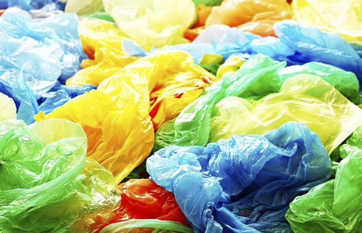 牛太牛了！牛胃竟然能消化塑料，科学家：世界难题不难了