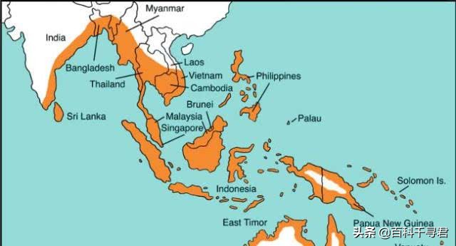 湾鳄洛龙的体型,洛龙是体型最大的鳄鱼吗