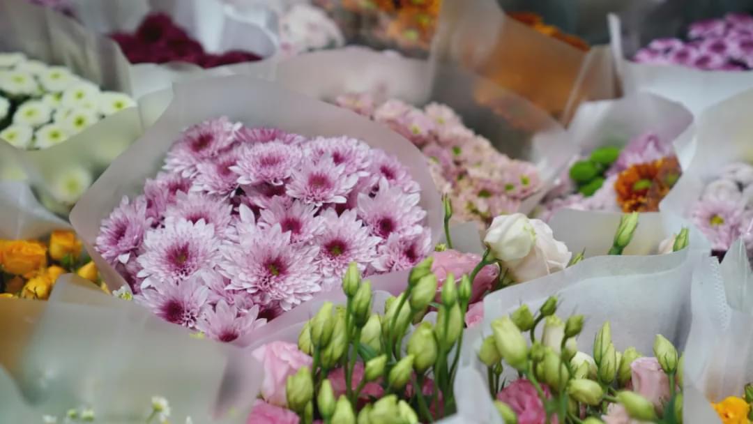 乌鲁木齐附近最便宜的花市,乌鲁木齐市花街在哪里