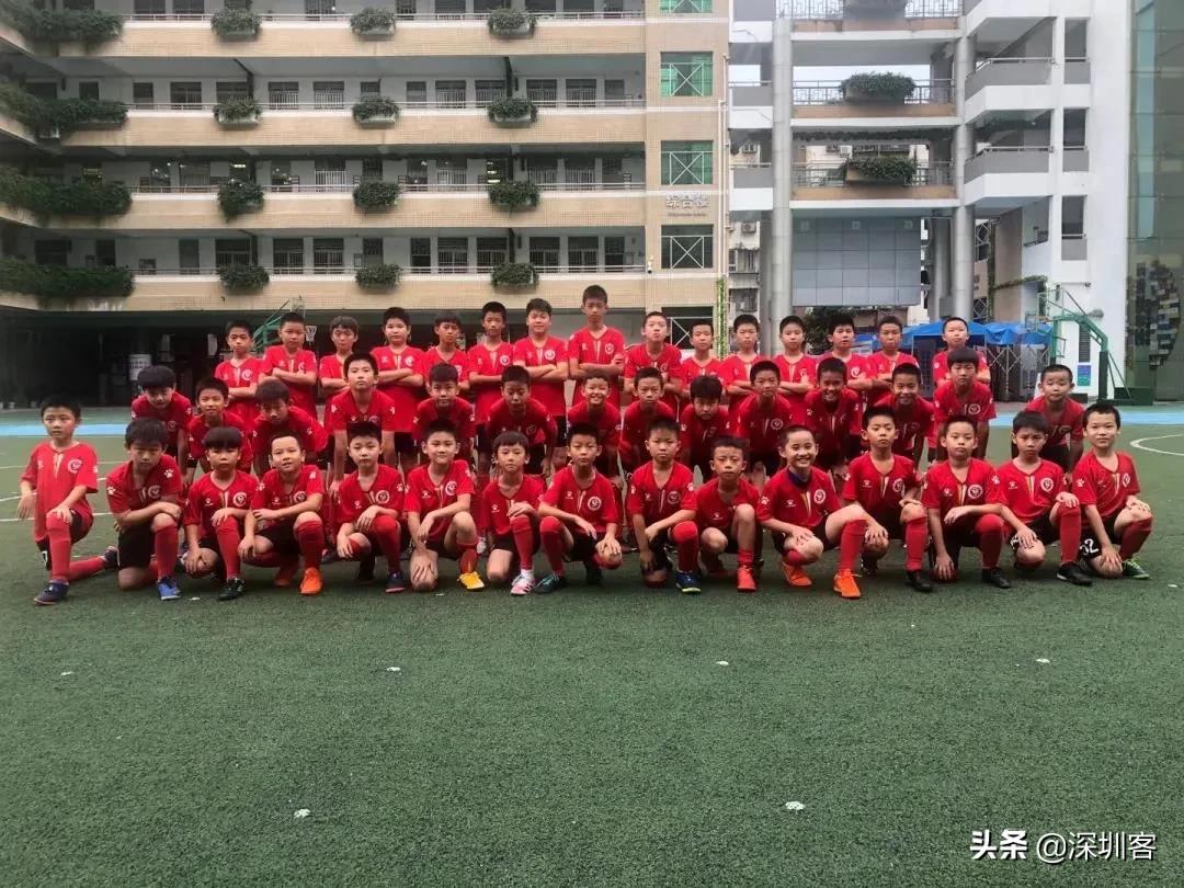 网球深圳哪里有,网球羽毛球棒球哪个最快