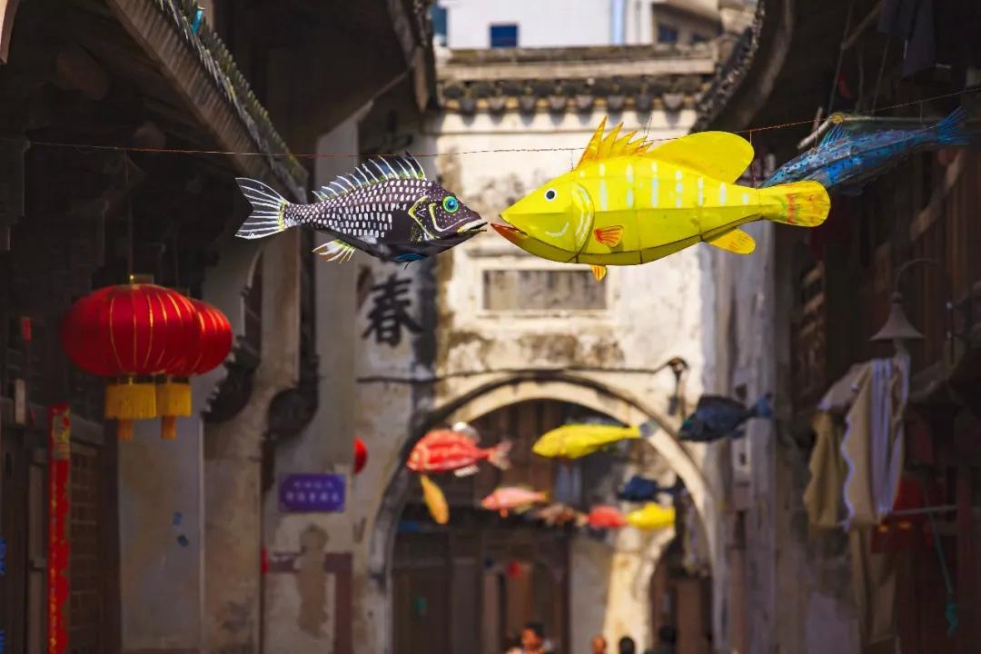 禁渔期间去海边旅游,海边禁渔期适合去旅游吗